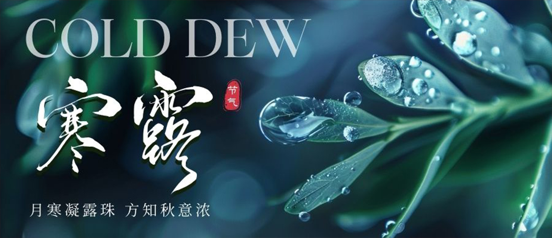 362b0300eef09e4dd3f7da3cf4aca727 二十四骨气 | 寒露