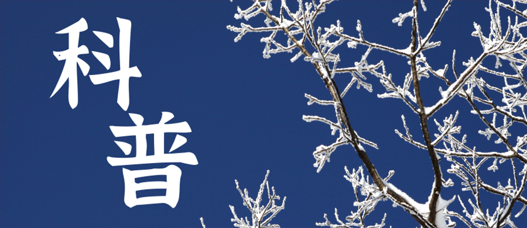 科普丨形象灾害应急指南