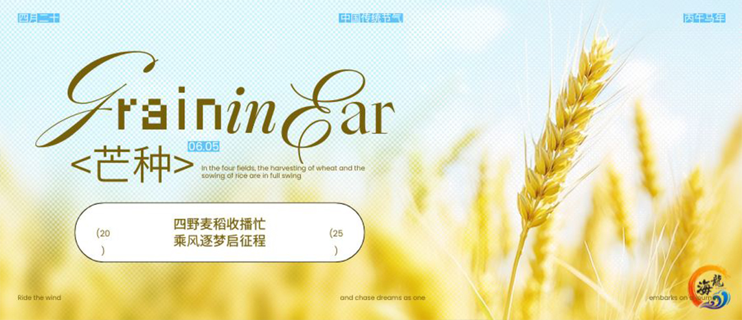 二十四骨气 | 芒种