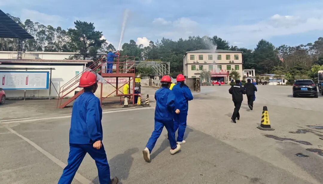 首页- Z6官网中国区人生就是博